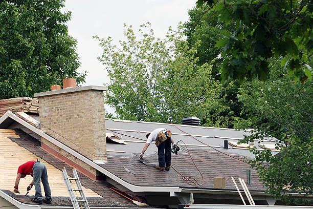 Best Storm Damage Roof Repair  in Cienegas Terrace, TX